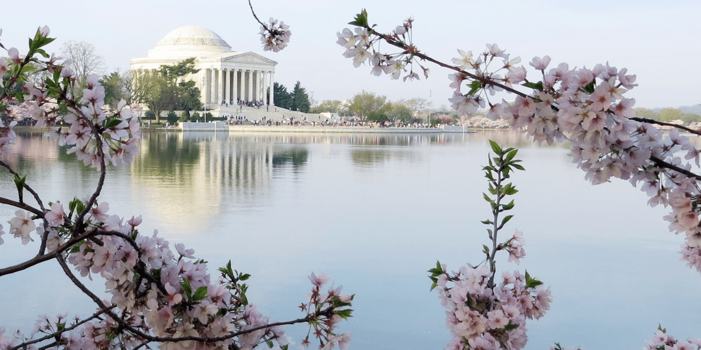 Washington, D.C., SAD