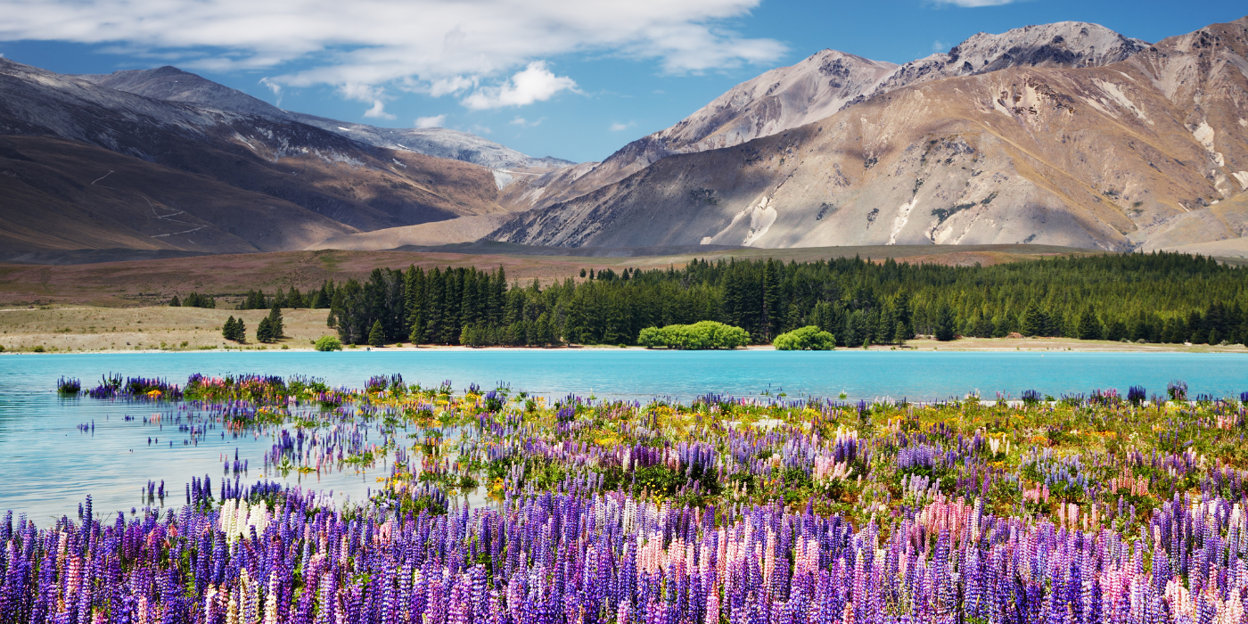 Jezero Tekapo, Novi Zeland Jezero Tekapo, Novi Zeland