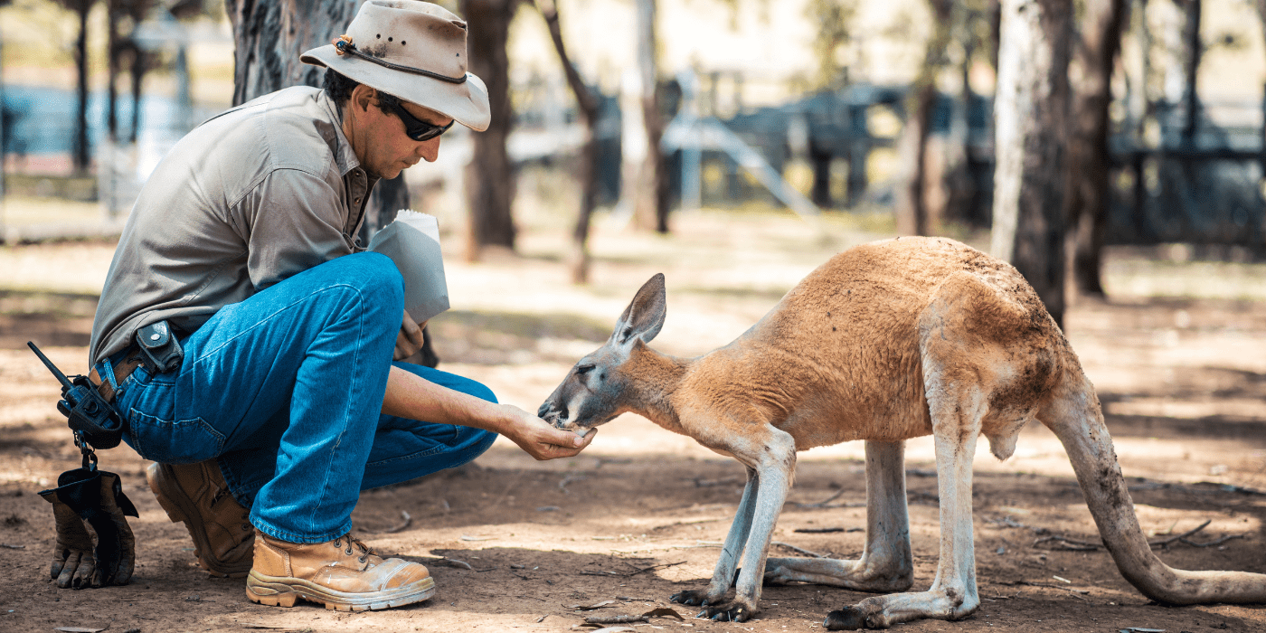 Ranger Red's Zoo, Australija