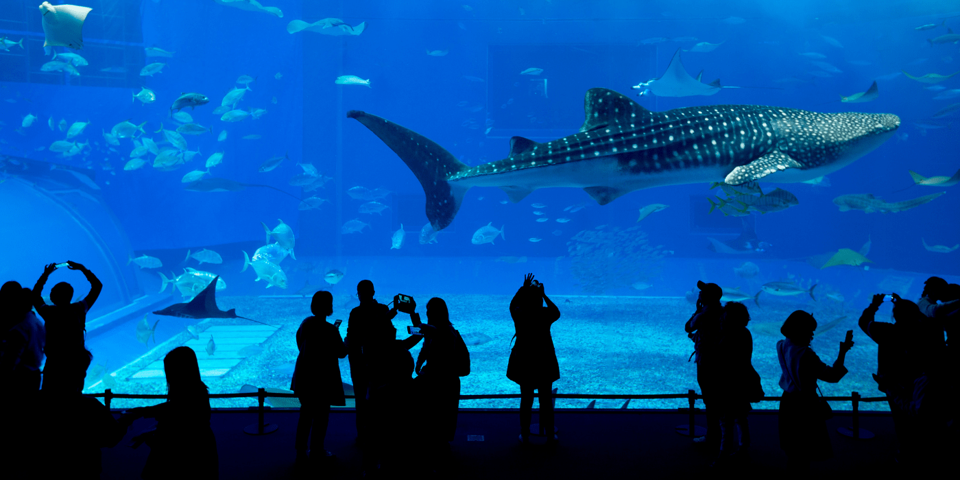 Ripleyjev akvarij, Toronto, Kanada