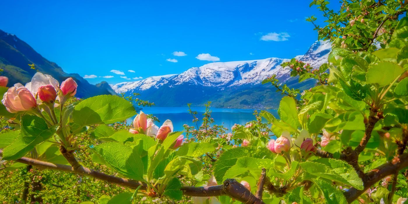 Hardangerfjord regija, Norveška