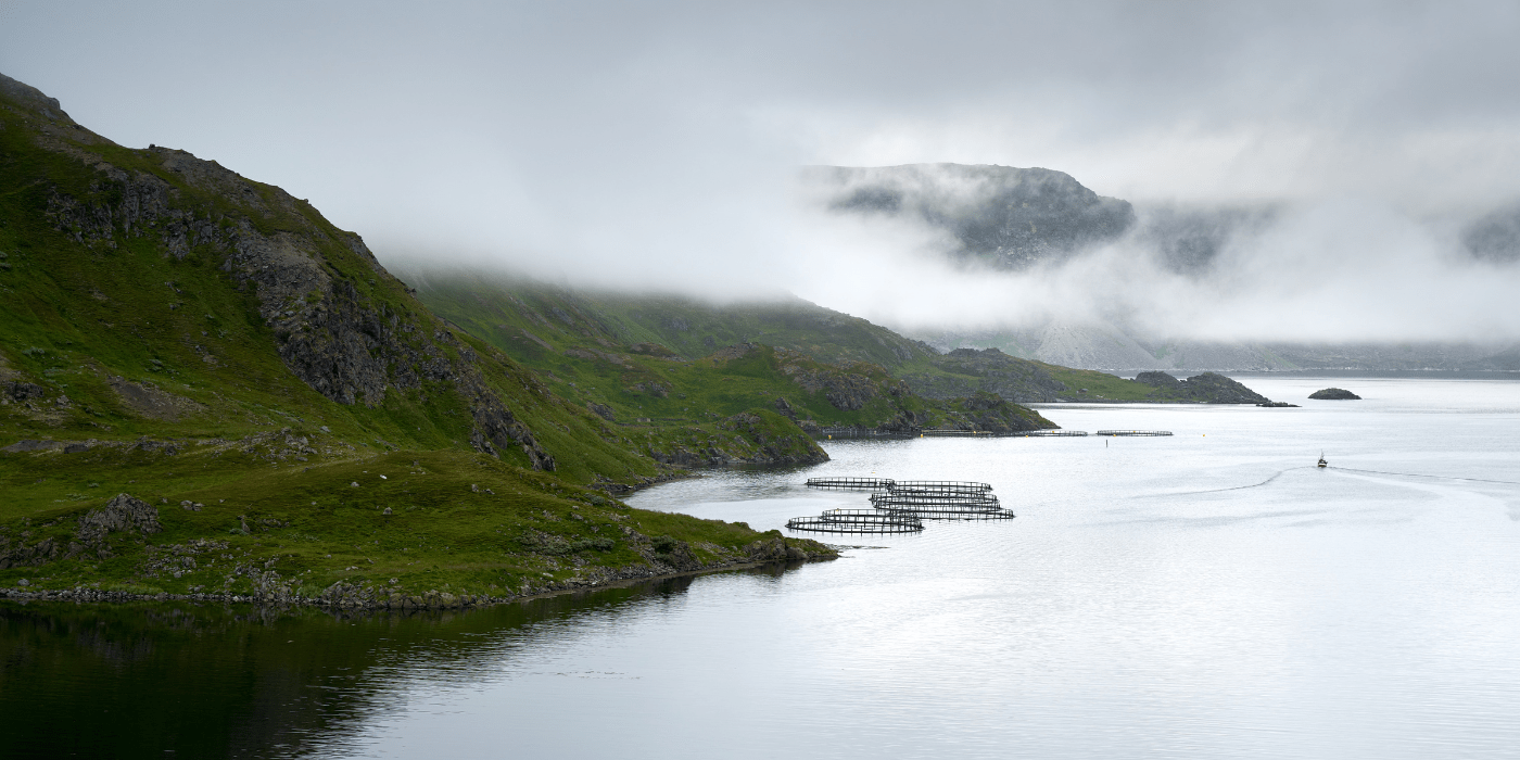 Maglovita morska obala s uzgajalištima lososa na sjeveru Norveške u blizini Nordkapa