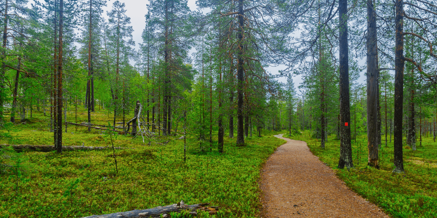 Nacionalni park, Pyha Luosto, Norveška