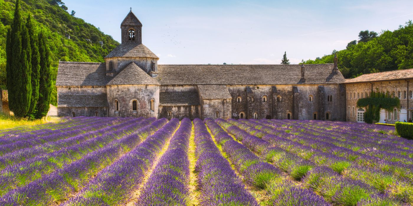 Abbaye de Senanque, Francuska