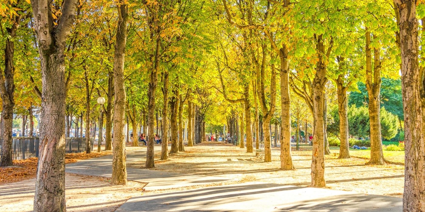 Champs Élysées, Pariz, Francuska