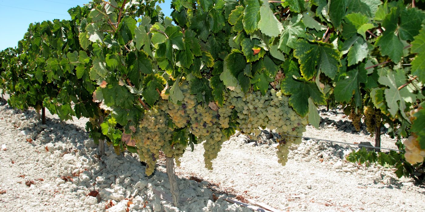 Jerez de la Frontera, Španjolska