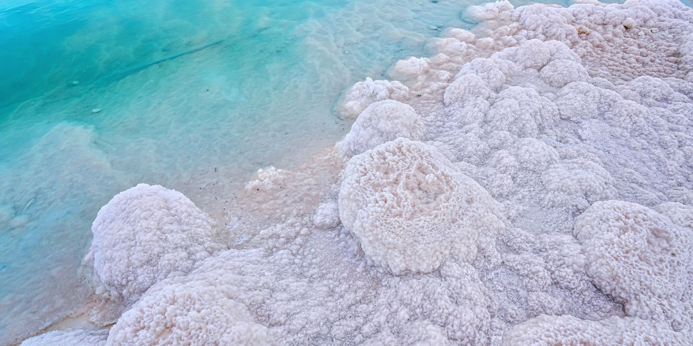 xr:d:DAGCHQWbNsQ:46,j:1312097928060209812,t:24041113