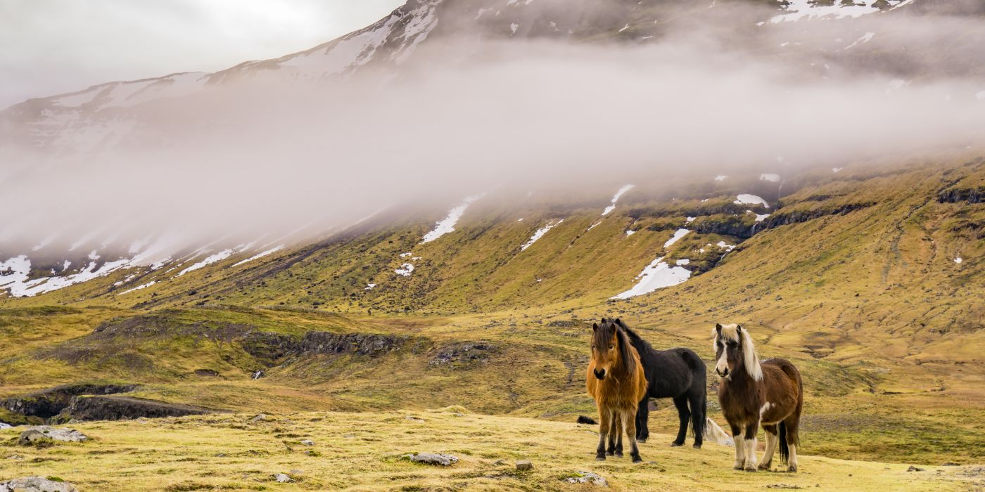 Snaefellsnes, Island
