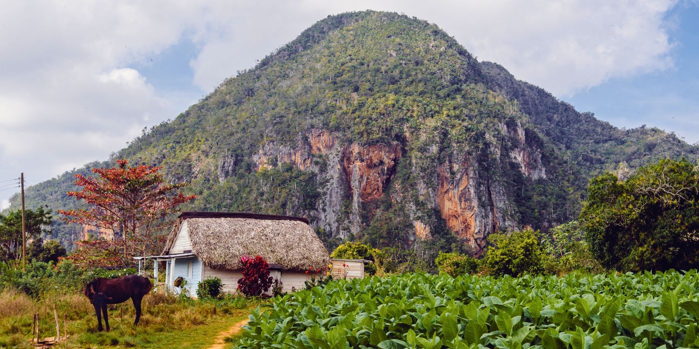 Vinales, Kuba