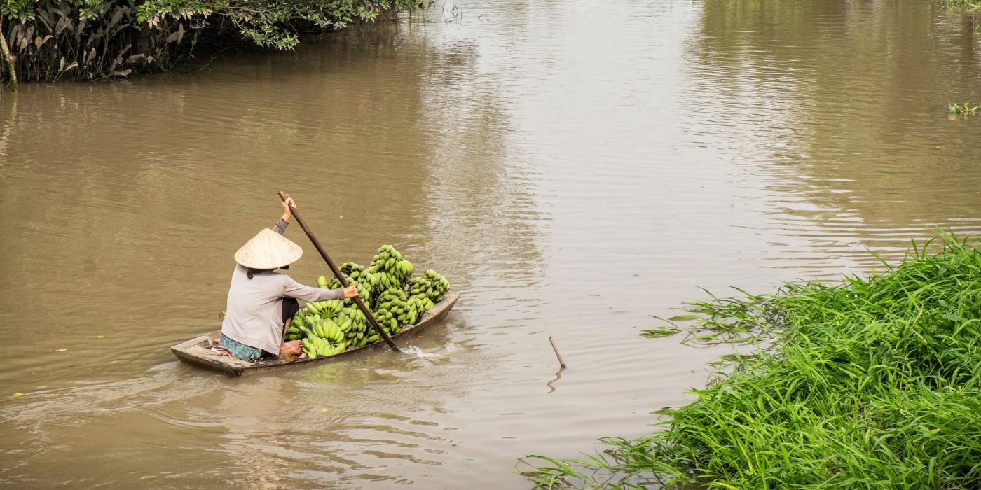 Delta Mekong, Vijetnam