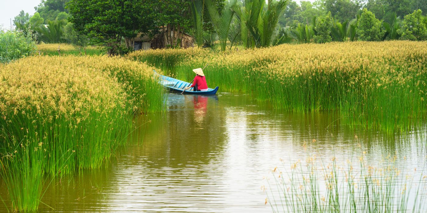 Delta Mekong, Vijetnam