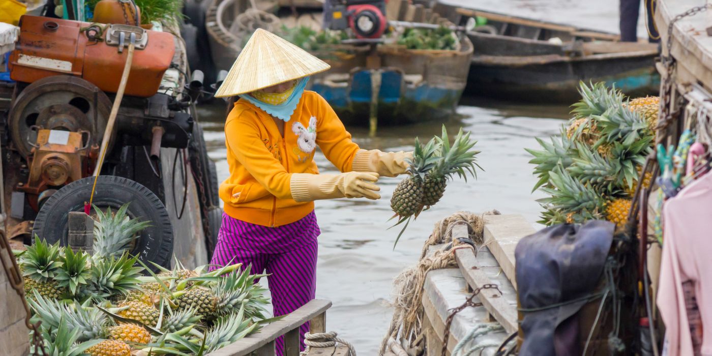 Delta Mekong, Vijetnam