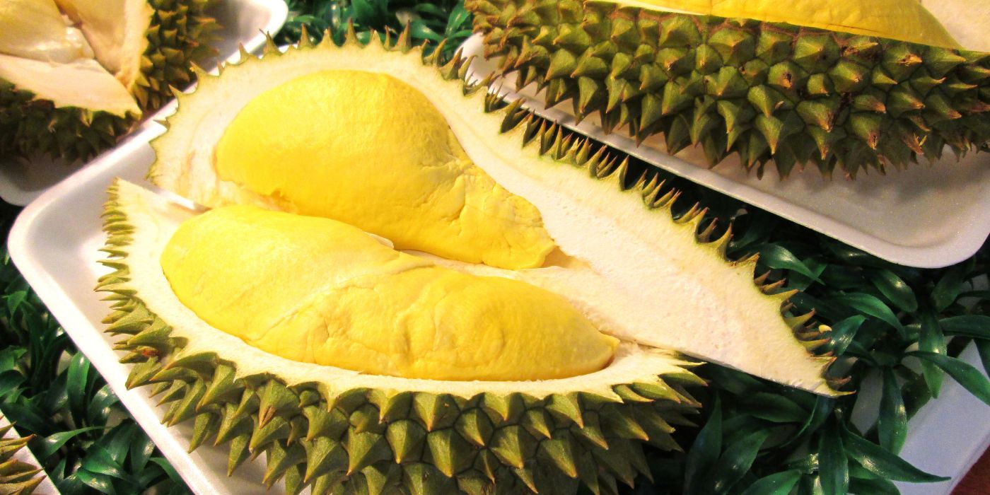 Durian - voće neobičnog mirisa i savršenog okusa