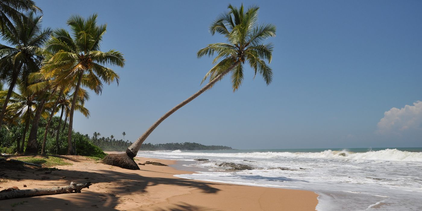 Kosgoda, Šri Lanka