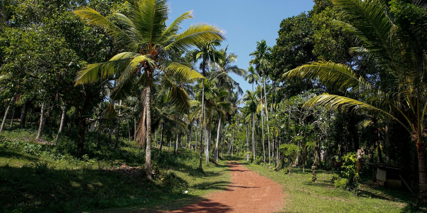 Panadura, Šri Lanka