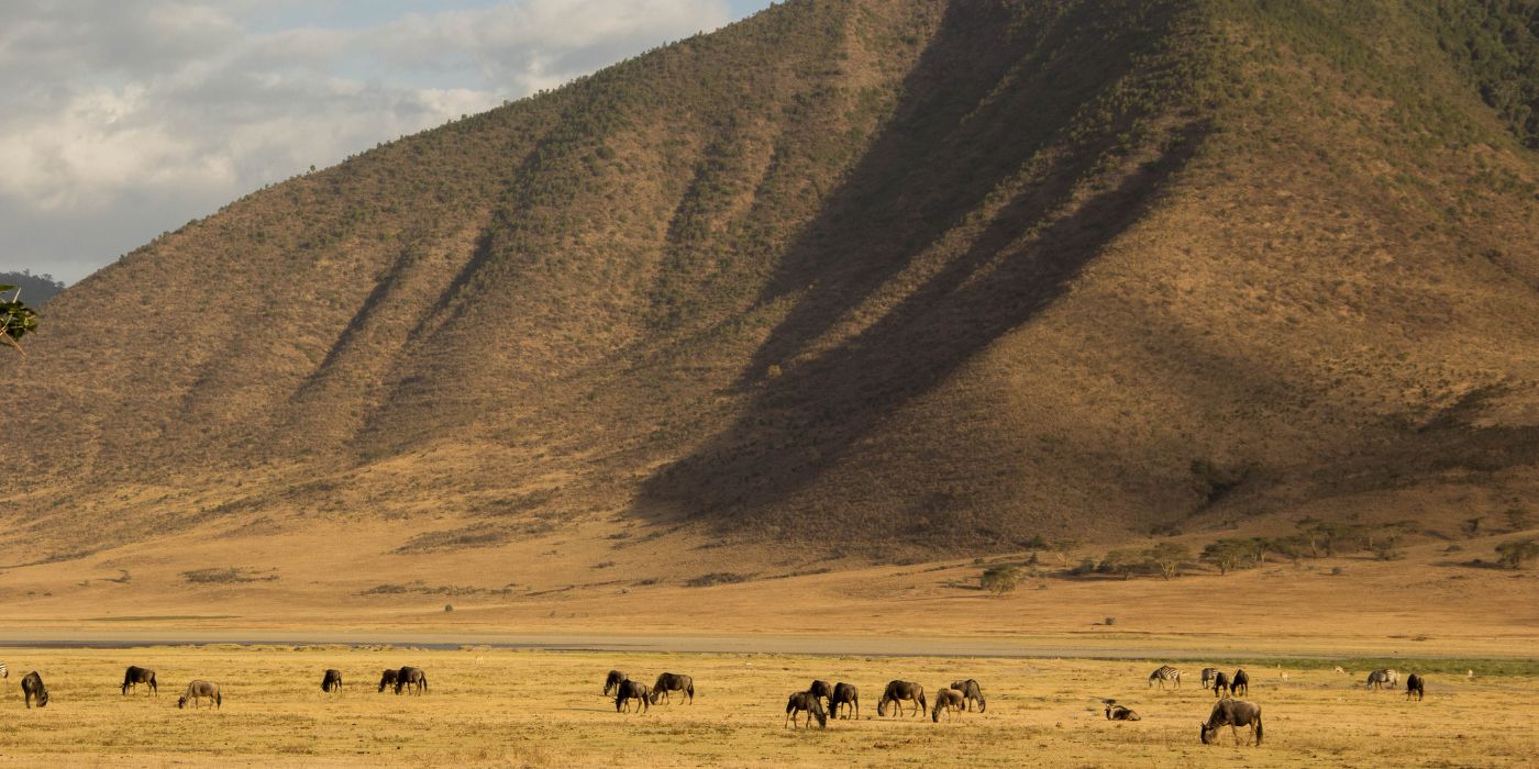 Ngorongoro krater