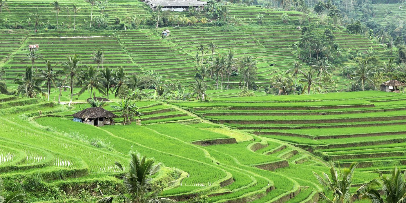 Abian Desa, Bali