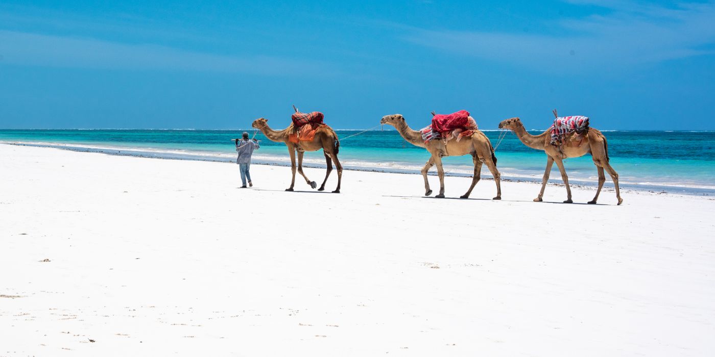 Diana Beach, Kenija Diana Beach, Kenija