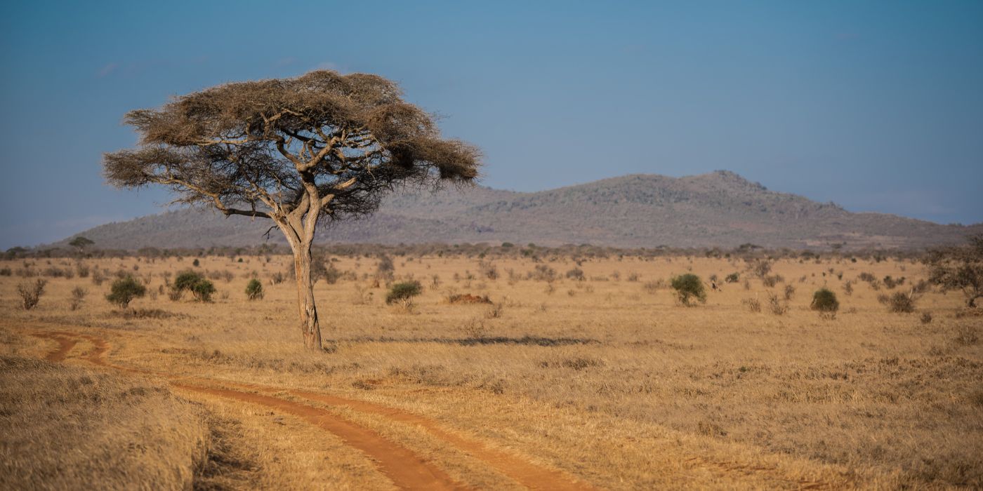 Taita Hills Wildlife Sancturary, Kenija