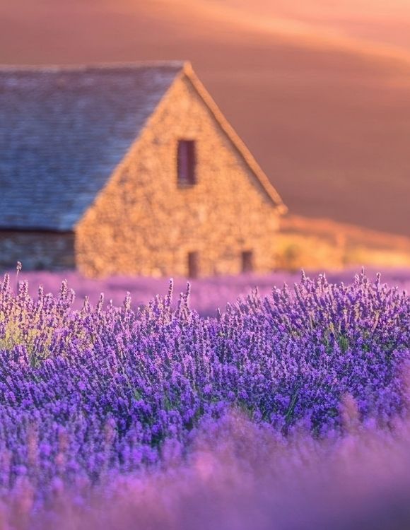 Provansa i najljepša sela Francuske